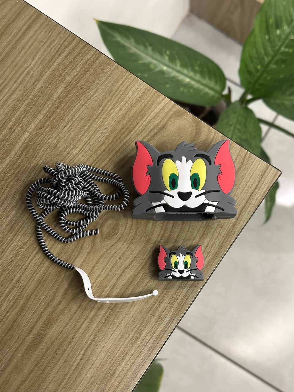 Charger Protector