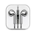 Chrome Earphones