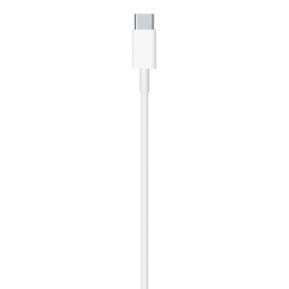 Apple USB-C to C Charging Cable (1 Year Apple Warranty)